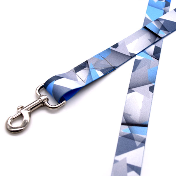 Customize Pet Dog Collar And Leash Custom Logo Pet Collar And Leash Personalized ID Dog Collar