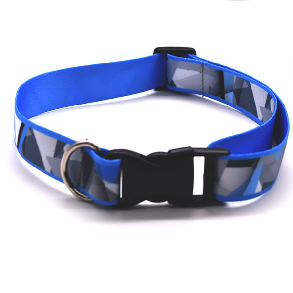 Customize Pet Dog Collar And Leash Custom Logo Pet Collar And Leash Personalized ID Dog Collar