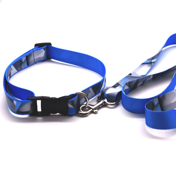 Customize Pet Dog Collar And Leash Custom Logo Pet Collar And Leash Personalized ID Dog Collar