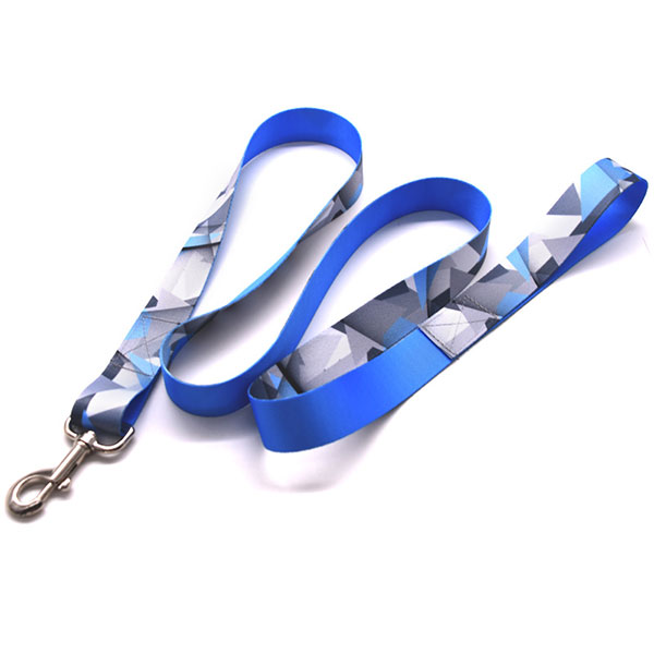 Customize Pet Dog Collar And Leash Custom Logo Pet Collar And Leash Personalized ID Dog Collar
